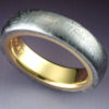 Gibeon Meteorite Ring lined with 18k Gold